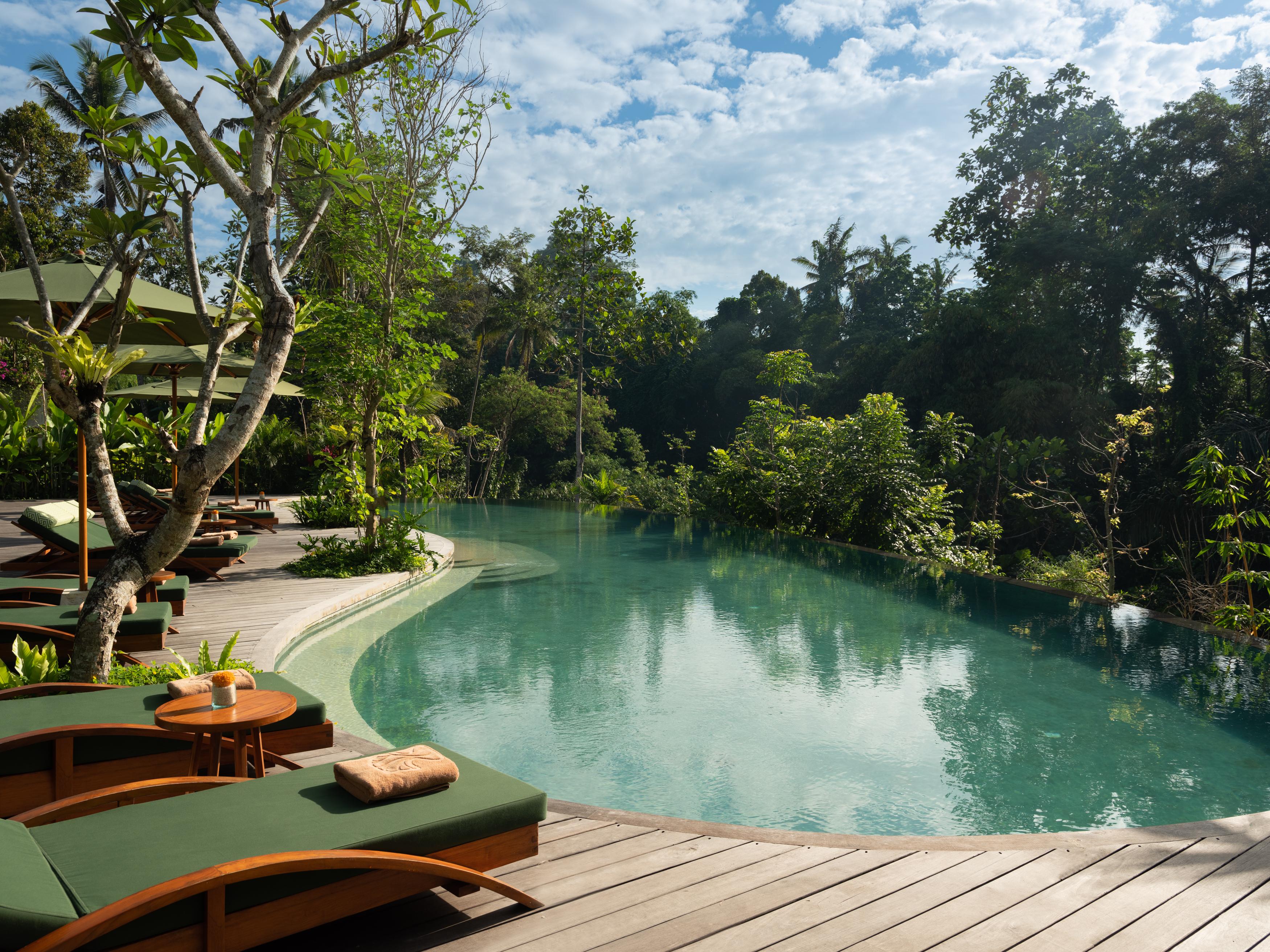 Adiwana Suweta Hotel Убуд Екстериор снимка The pool at the Four Seasons Resort